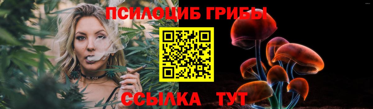 Галлюциногенные грибы Psilocybine cubensis Елец